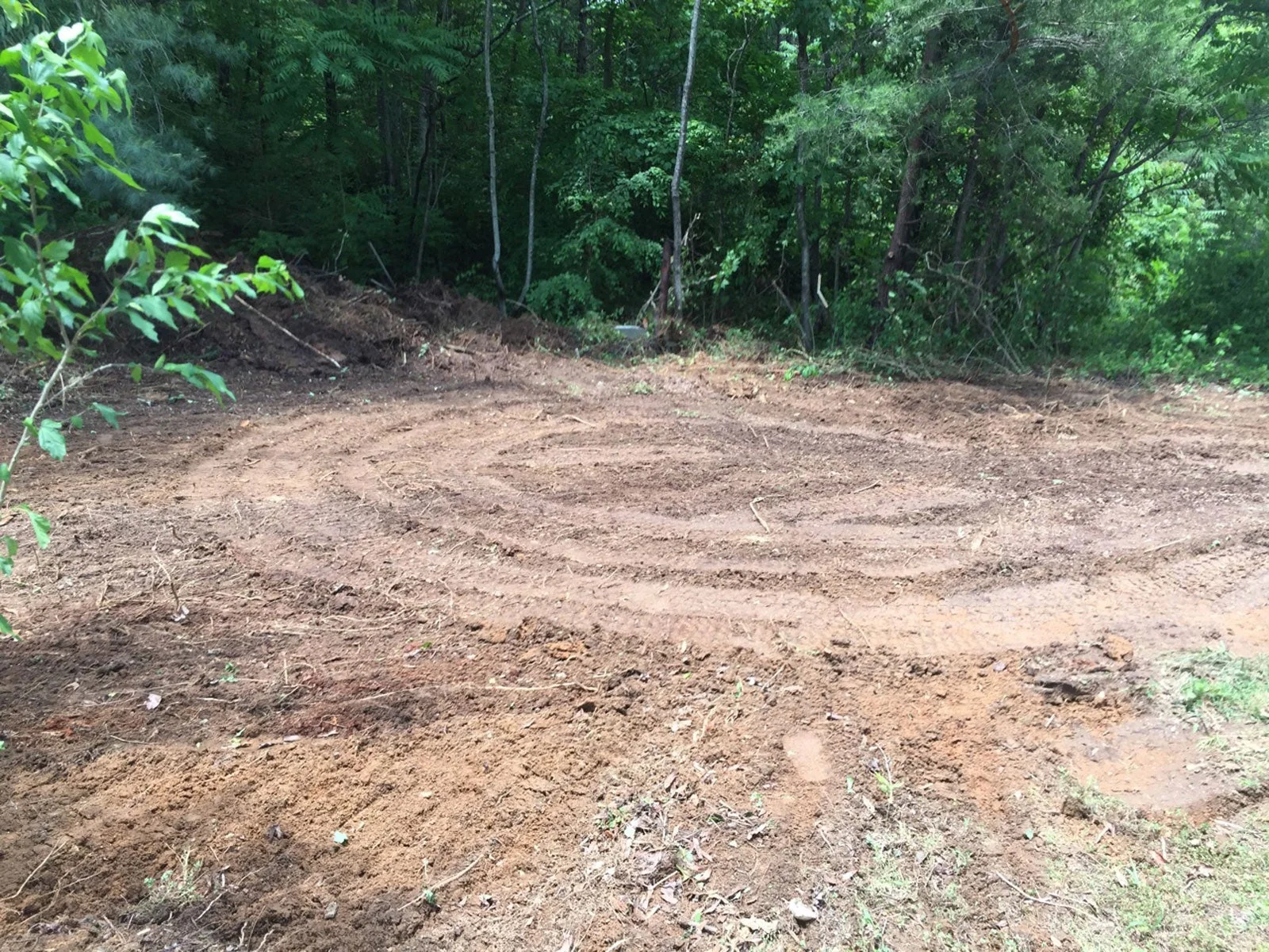 Fresh clearing on a wooded lot, topsoil stripped to the clay