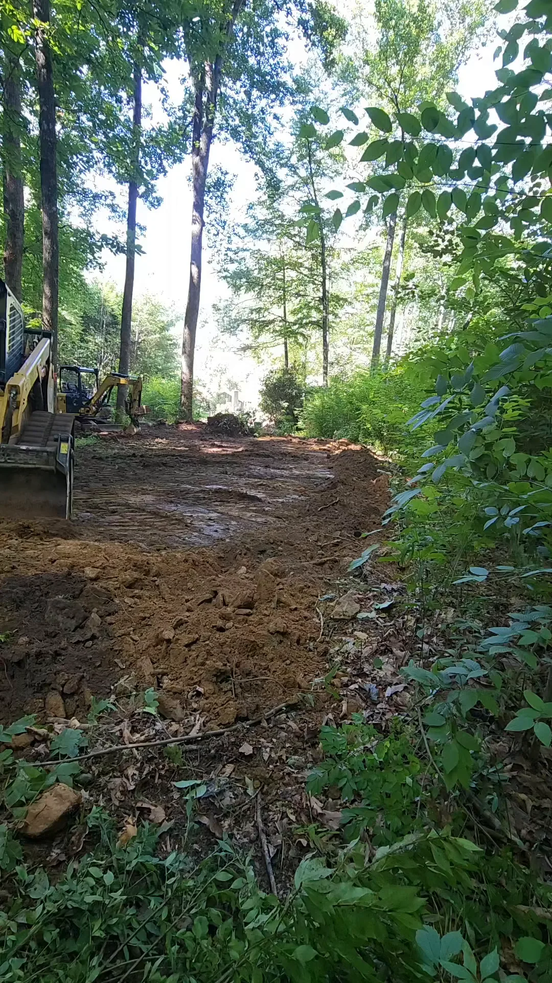 The excavator working back through a wooded lot