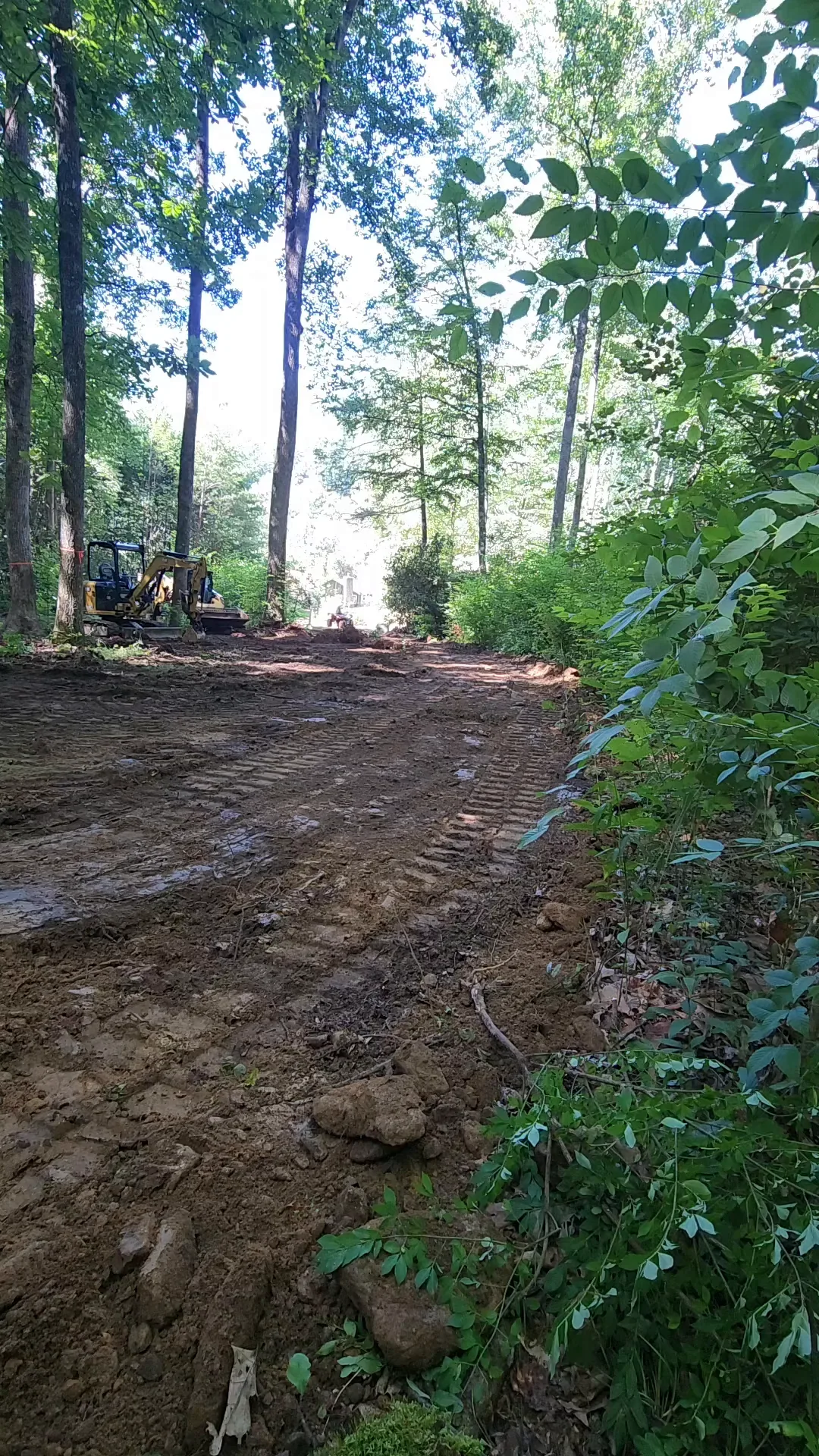 A fresh dirt road cut through the trees after clearing